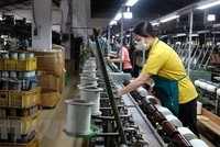 (Ảnh minh họa. Nguyễn Dũng/TTXVN).