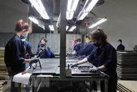 Công nhân làm việc tại Công ty TNHH Quốc tế Bright Việt Nam, huyện Thuận Thành, tỉnh Bắc Ninh. (Ảnh: Thái Hùng/TTXVN).