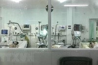 (Ảnh minh họa: TTXVN phát).