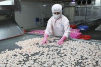 Thiếu hụt lao động là một trong những thách thức lớn với doanh nghiệp thủy sản hiện nay.