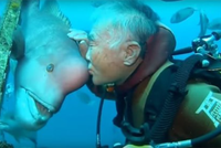 Tình bạn đặc biệt kéo dài hơn 25 năm giữa ông lão và con cá mặt người