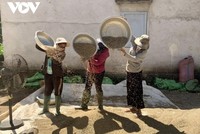 Người dân Đắk Lắk tích cực lao động sản xuất và tuân thủ nghiêm các quy định phòng dịch