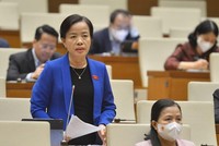 Đại biểu Nguyễn Thị Kim Thúy (Đà Nẵng) phát biểu tại phiên thảo luận.