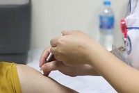 (Ảnh minh họa: Minh Quyết/TTXVN).