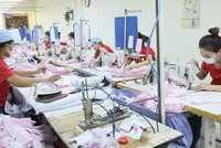 Các gói cứu trợ nhằm giúp doanh nghiệp tái cơ cấu, phục hồi sản xuất - kinh doanh.