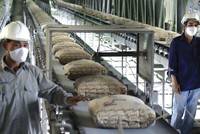 Chi phí kéo ghì lợi nhuận ngành xi măng