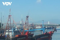 Cảng cá Đông Hải hoạt động trở lại với 50% công suất (Ảnh: Sĩ Minh).