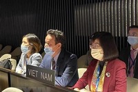 Đoàn Việt Nam tham dự phiên họp toàn thể Đại hội đồng UNESCO lần thứ 41 tại Paris. (Ảnh: Thu Hà/TTXVN).