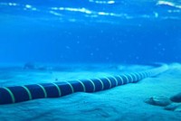 Ảnh minh họa. (Nguồn: acacia-inc.com).