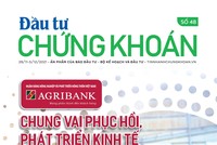 Đầu tư Chứng khoán số 48/2021
