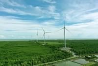 FECON (FCN) phát hành thành công 32 triệu cổ phiếu riêng lẻ, tăng vốn điều lệ lên 1.574 tỷ đồng