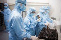 Các doanh nghiệp đều vừa gấp rút sản xuất các đơn hàng cuối năm vừa lên kế hoạch thưởng Tết cho người lao động.