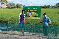 PVFCCo cùng phát triển với nông nghiệp bền vững