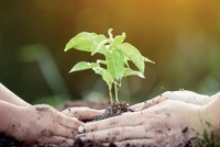 “Thiên thời, địa lợi” cho bảo hiểm liên kết đầu tư