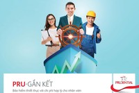 PRU-Gắn Kết là một giải pháp “làm đầy” chế độ phúc lợi dành cho nhân viên.