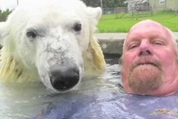 Người đàn ông duy nhất trên thế giới đủ "dũng khí" tắm chung cùng gấu Bắc Cực