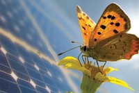 Cuộc đua của các công ty chứng khoán: Chưa biết mèo nào cắn mỉu nào