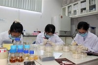 Hoạt động tại Phòng Công nghệ sinh học Trung tâm Nghiên cứu triển khai Khu Công nghệ cao Thành phố Hồ Chí Minh. (Ảnh: Tiến Lực/TTXVN).