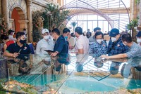 Các doanh nghiệp bắt đầu ghi nhận doanh thu từ dự án và có dự án gối đầu được nhiều nhà đầu tư quan tâm.