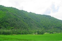 Quang cảnh khu vực Tây Nam núi Linh Trường, huyện Hoằng Hóa.