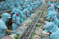 Ngành chế biến thủy sản vẫn có cơ hội lớn trong đại dịch.