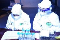 Người từ vùng đỏ về Hải Dương ăn Tết phải có kết quả xét nghiệm SARS-CoV-2 âm tính trong vòng 72 giờ. (Ảnh minh hoạ)