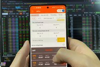 Nhiều nhà đầu tư có thói quen tái cơ cấu danh mục vào dịp cuối năm âm lịch. Ảnh: Thành Nguyễn.