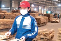 Xưởng chế biến tre của Công ty BWG Mai Châu.