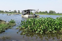 Dự án khơi thông sông Cổ Cò đang được TP. Đà Nẵng và tỉnh Quảng Nam đẩy nhanh tiến độ.