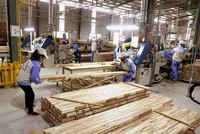 Sau khi xuất siêu 11,8 tỷ USD trong năm 2021, ngành gỗ lại mang về kim ngạch xuất khẩu gần 1,6 tỷ USD ngay trong tháng đầu năm 2022.