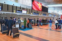 Các hãng hàng không đang khôi phục lại đường bay trong nước và quốc tế.