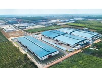 Nhà máy An Cường tại Đất Cuốc – Bình Dương.