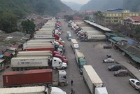 Xe chở nông sản ùn ứ ở biên giới phía bắc.