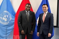 Đại sứ Đặng Hoàng Giang và Trợ lý Tổng thư ký Liên hợp quốc Selwin Chalres Hart. (Ảnh: Khắc Hiếu/TTXVN).