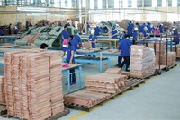 Nga không phải là thị trường xuất khẩu, nhập khẩu quan trọng của doanh nghiệp gỗ Việt Nam.