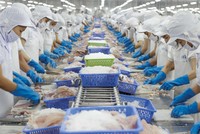 Cổ phiếu thủy sản ngược dòng