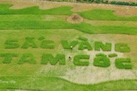 Hang Múa nhìn từ trên cao. Ảnh: Trường Huy.