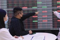 Nhiều nhà đầu tư “kẹp hàng dưới gốc thông”