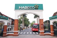 Thương hiệu bia có tuổi đời hơn 100 năm đang có nhiều đổi mới về sản phẩm, kênh bán hàng.