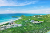Dự án Nhơn Hội New City được Tập đoàn Danh Khôi phát triển theo mô hình đại đô thị kiểu mẫu đầu tiên của thành phố mới Quy Nhơn.