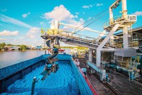 Xuất khẩu phân bón quý II khó lặp lại đà tăng trưởng đột biến trong quý I.