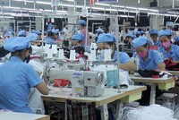 Hỗ trợ đào tạo nghề theo Nghị quyết 68: Doanh nghiệp nhỏ than khó tiếp cận