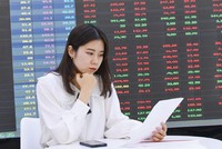 Nhà đầu tư không còn đầu tư theo xu hướng tiền rẻ ào ào như trước.