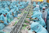Cơ hội xuất khẩu thủy sản đang rộng mở, nhất là mặt hàng cá tra và tôm.