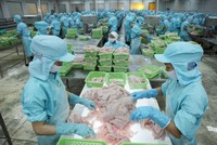 Thủy sản là một trong những ngành dự báo tăng trưởng cao trong quý II.