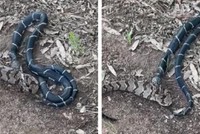 Đi nhận thư, người đàn ông chứng kiến cảnh tượng kinh hoàng