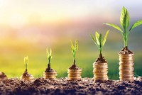 Tăng trưởng kinh doanh là trọng tâm của các doanh nghiệp gia đình, đảm bảo doanh nghiệp có thể phát triển bền vững