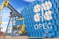 Hình ảnh 3D minh hoạ biểu tượng Tổ chức Các nước xuất khẩu dầu mỏ (OPEC). (Ảnh: Shutterstock.com/TTXVN)