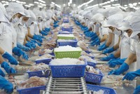 Cổ phiếu thủy sản là một trong số ít ngành đi ngược thị trường chung khi ghi nhận mức tăng giá hơn 60% kể từ đầu năm 2022 đến nay.