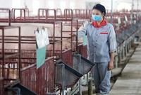 Trong 6 tháng đầu năm 2022, chi phí thức ăn chăn nuôi liên tục tăng, do phần lớn nguyên liệu phải nhập khẩu có giá cao.